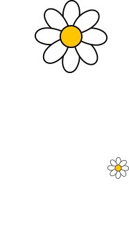 L1